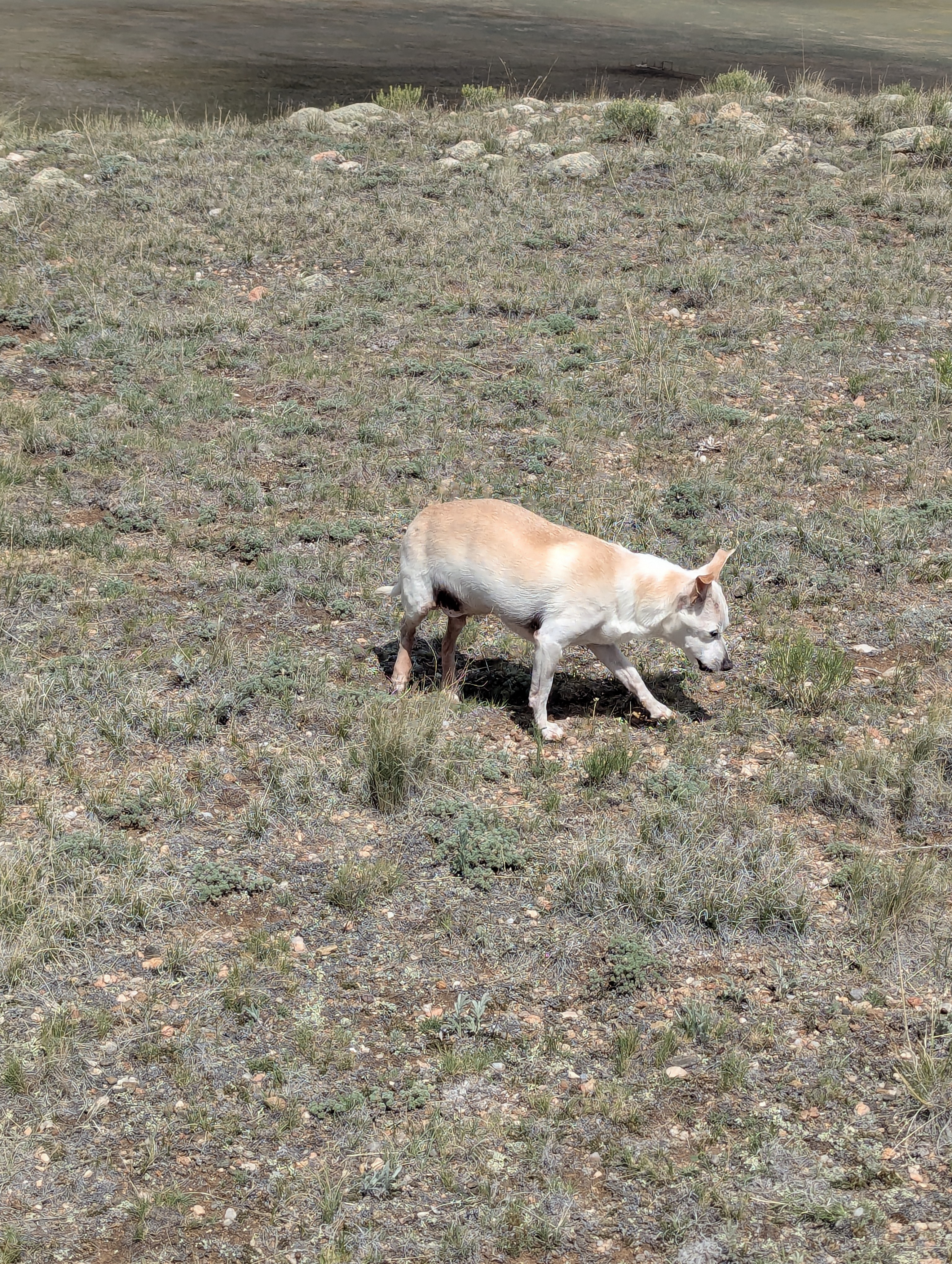 SouthPark, Park County, Jefferson, Colorado